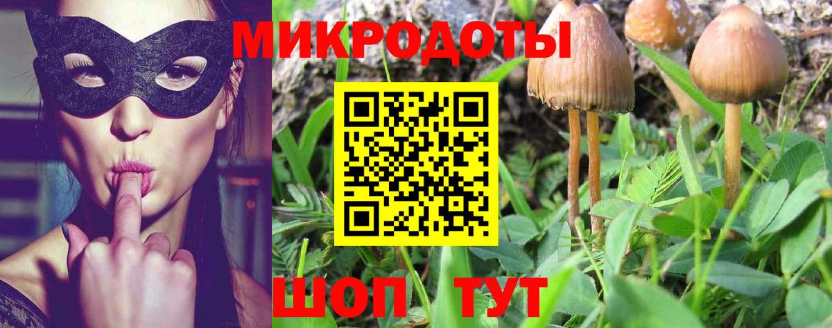 даркнет сайт  Галлюциногенные грибы Psilocybe  Псилоцибиновые грибы мицелий  Вход с VPN  Вологда 